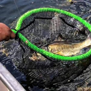 lunker snatcher net with bass action