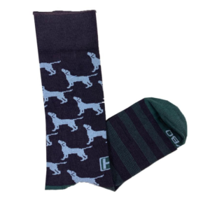 Heybo Rambler Socks Looking Labs