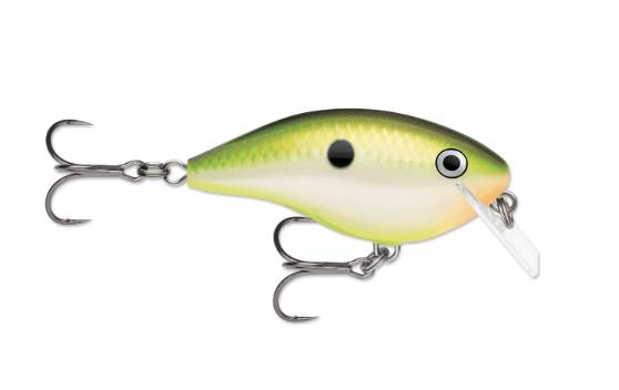 OG Rocco 5 Bruised Citrus Shad